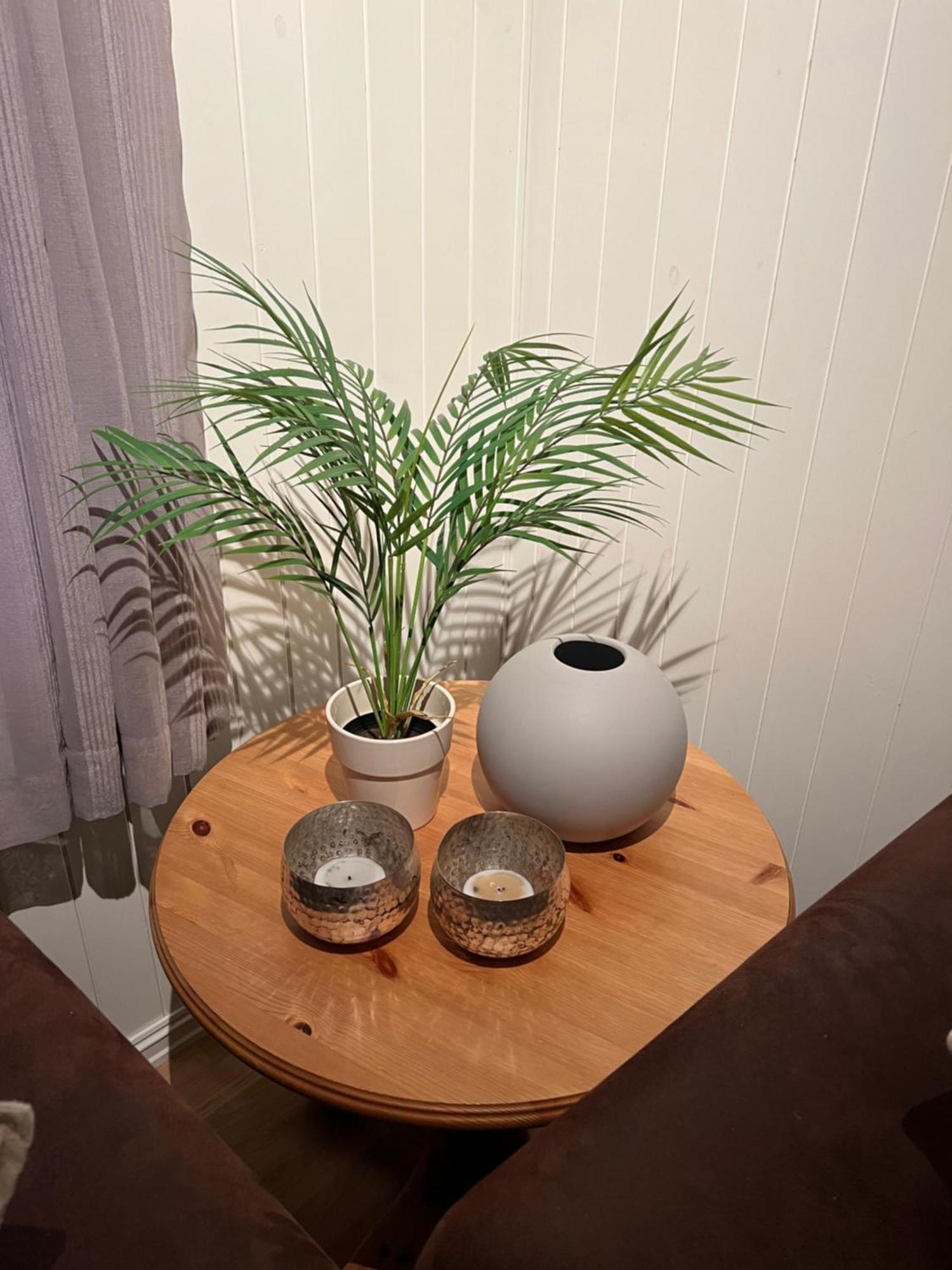 拉森奇斯菲力度假屋 Larseng 外观 照片